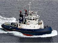 Sea Buffalo