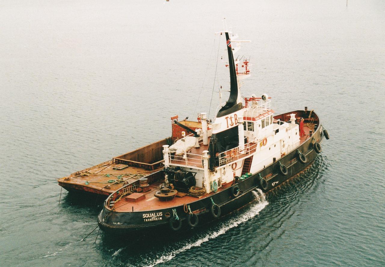 Squalus