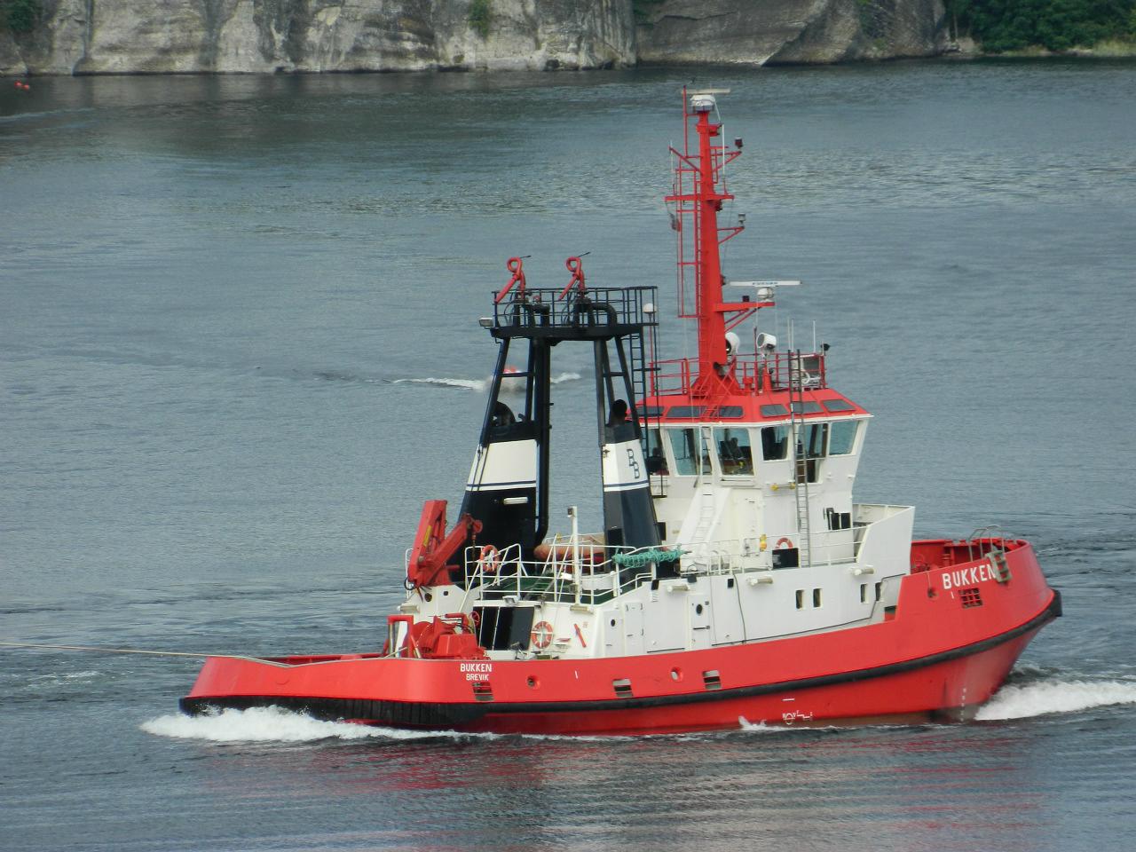 Bukken (2)