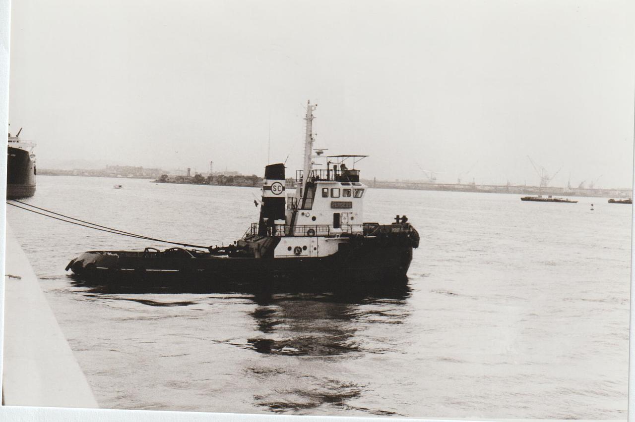 Grega XXII