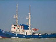 Baltic Warrior
