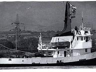 Iltizam