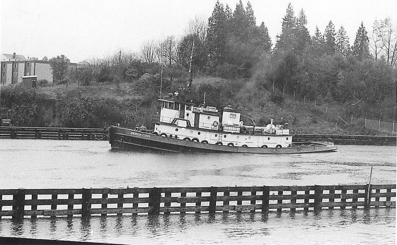 Lumberman
