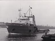 Ocean Lark