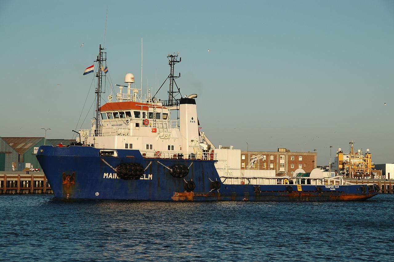 Mainport Elm