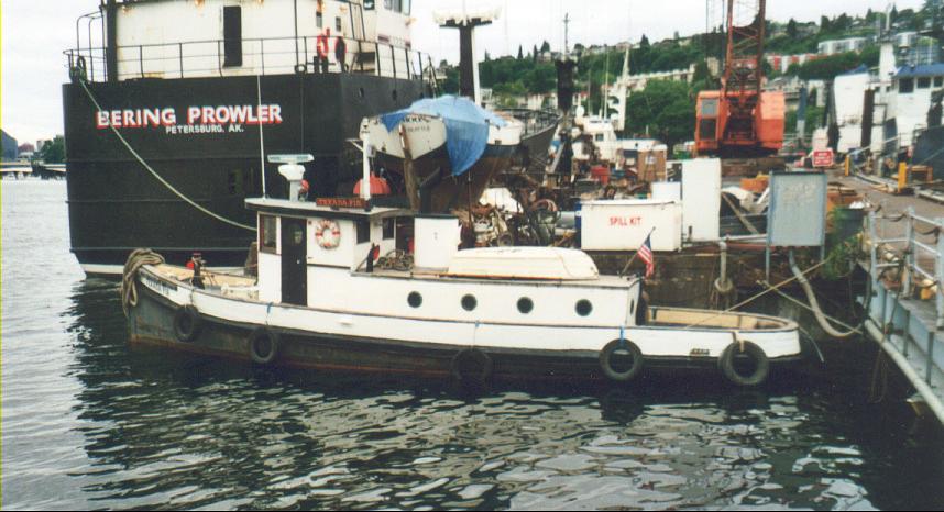 Texada Fir