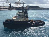Pelican II