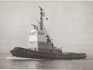 Bozkurt