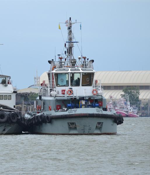 Tarua 119