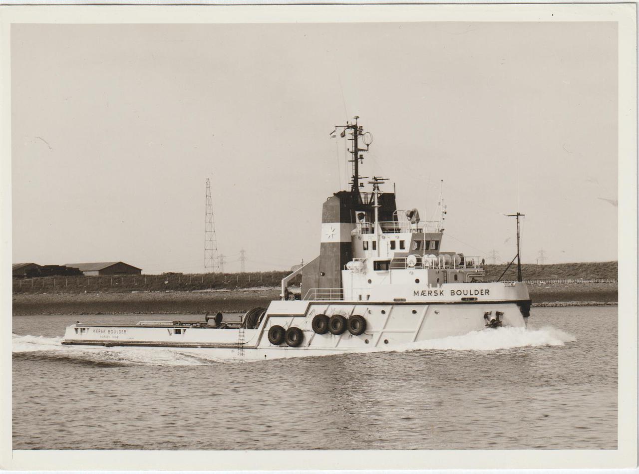 Borvigilant