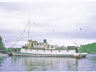 Ellinor