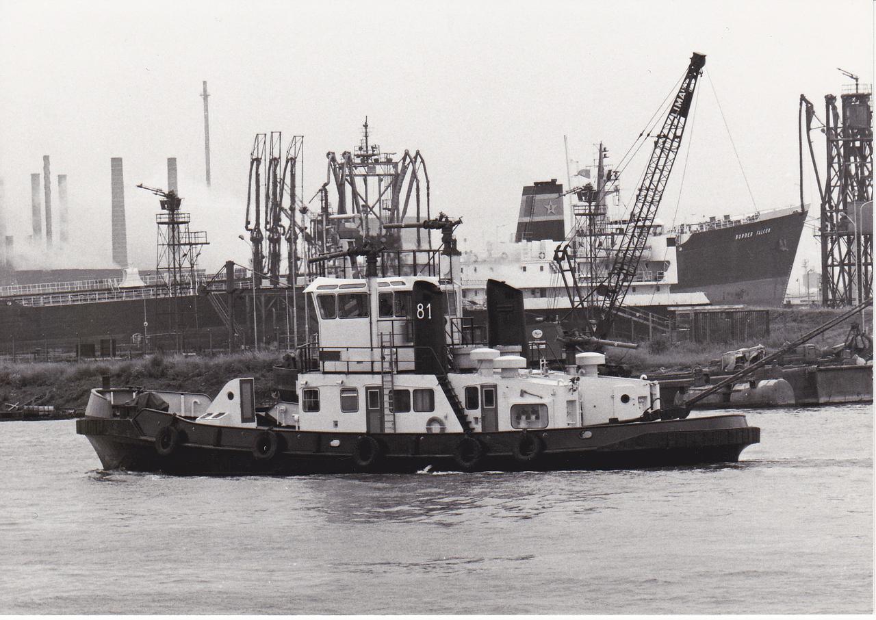 Antwerpen 81 (1)