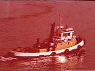 Hadi XII