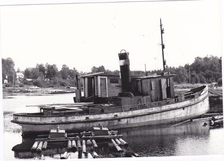 Metsa