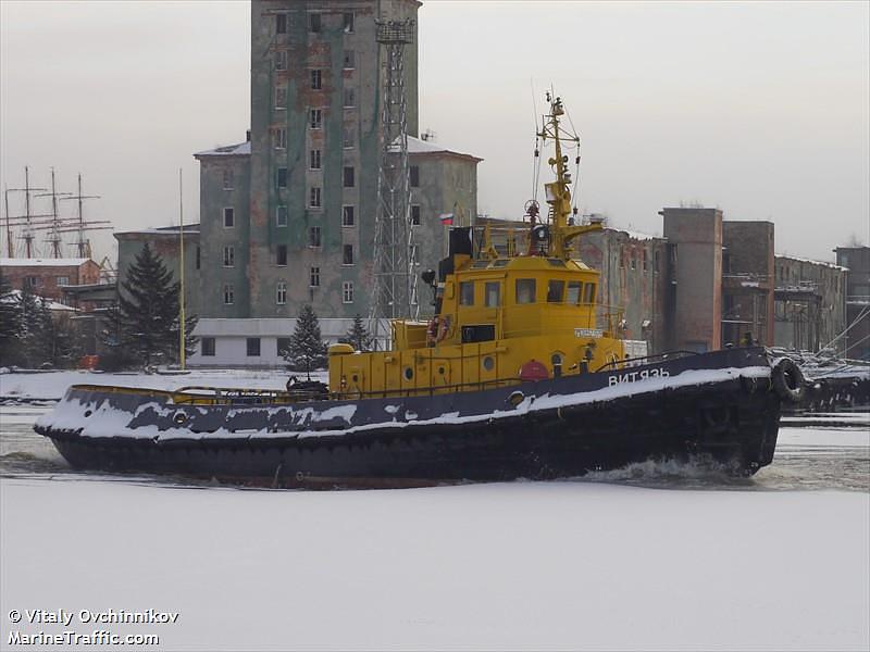 Vityaz