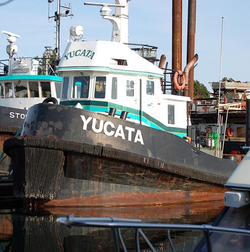 Yucata