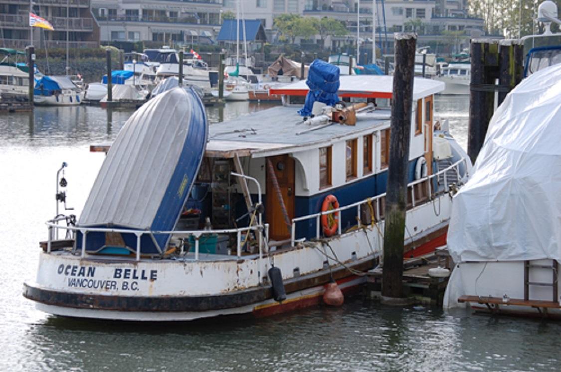 Ocean Belle (II)