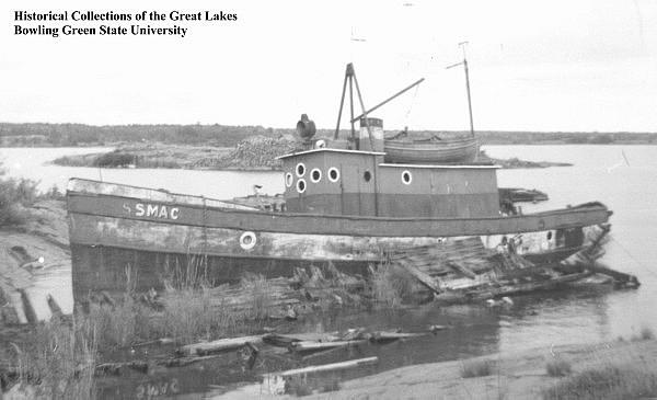 Cayuga