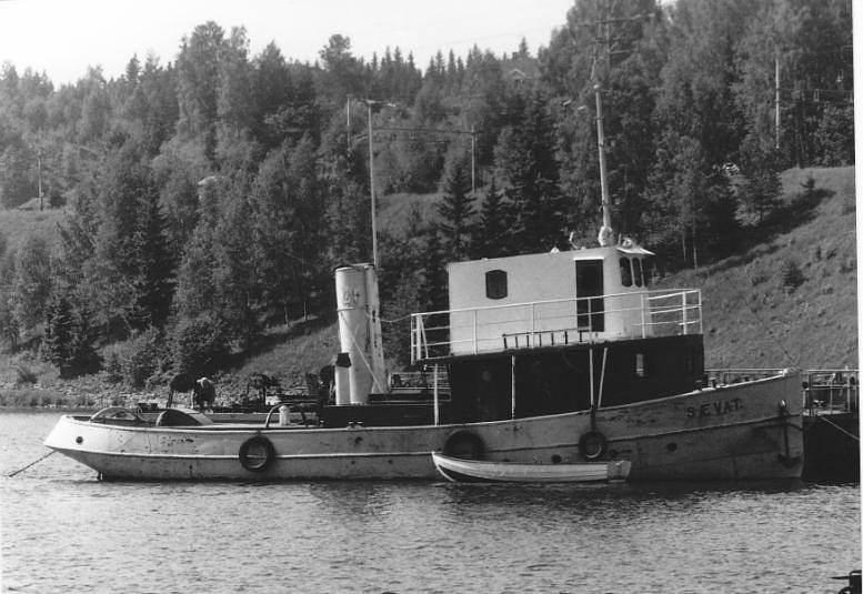 Saevat