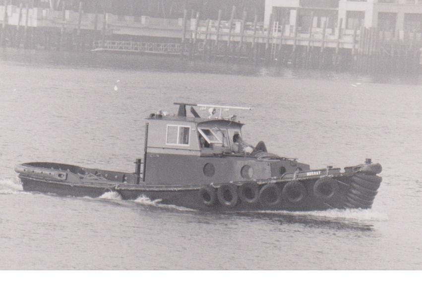 Duck M