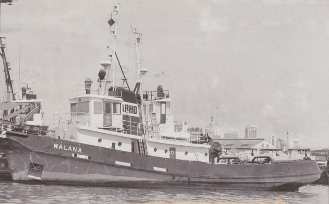 Sea Star