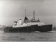 Coelus