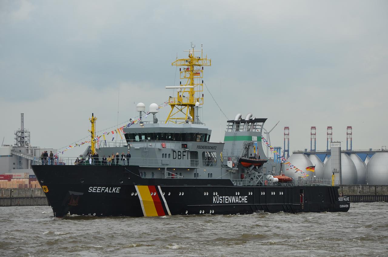 Seefalke