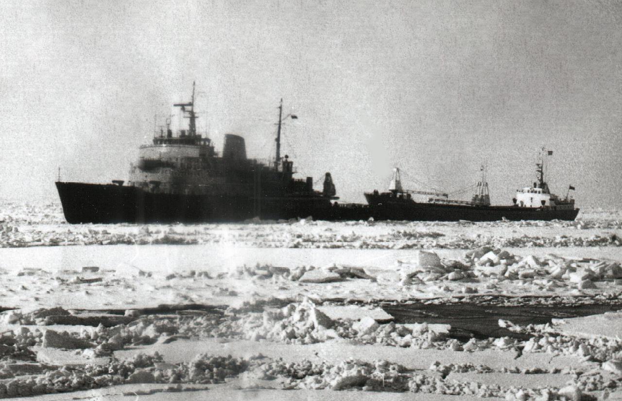 Torvik