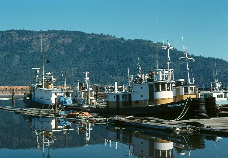 Monarch II