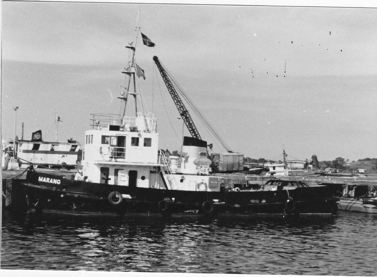 Marang