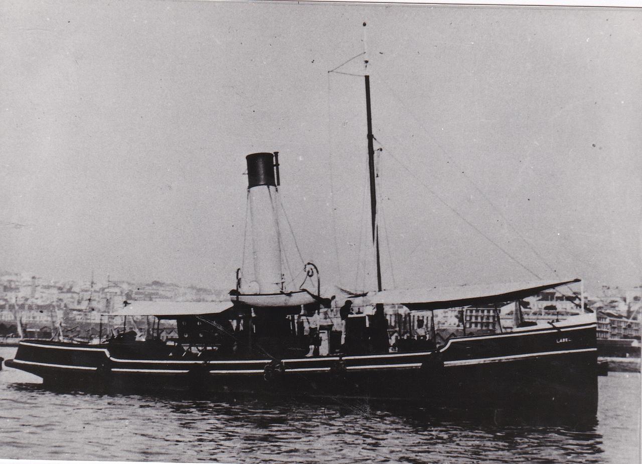 Castor