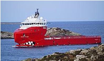 Skandi Feinstein