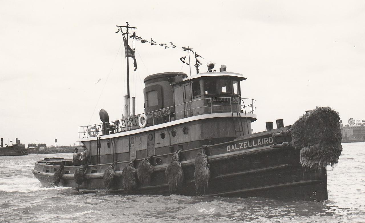 Dalzellaird
