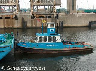 Jacoba 10