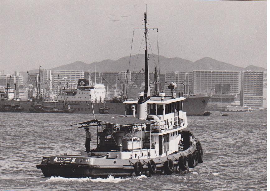 Fei Sing