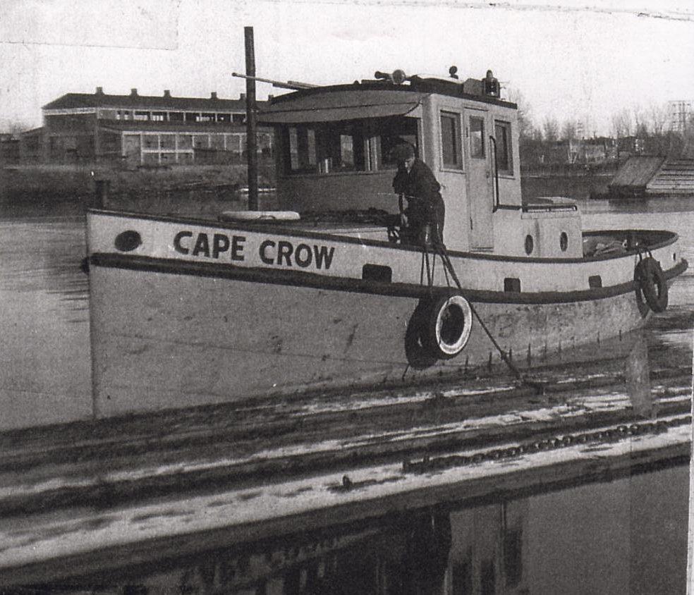 Cape Crow