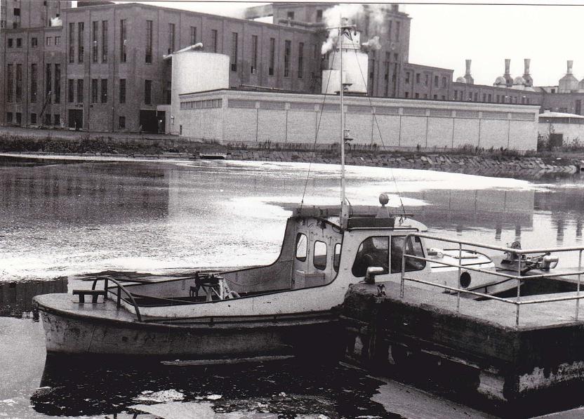 Ne 11