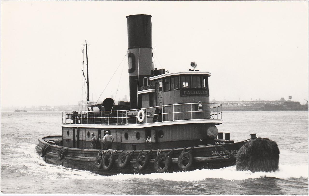 Dalzellace