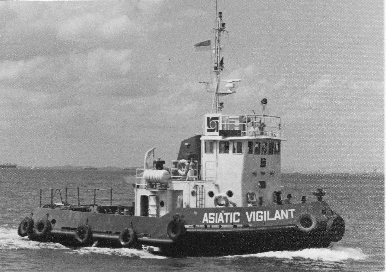 Asiatic Vigilant