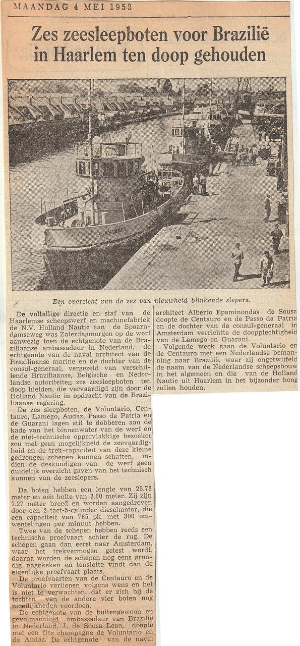 Voluntario--R 36