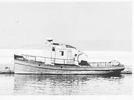 Viking 4