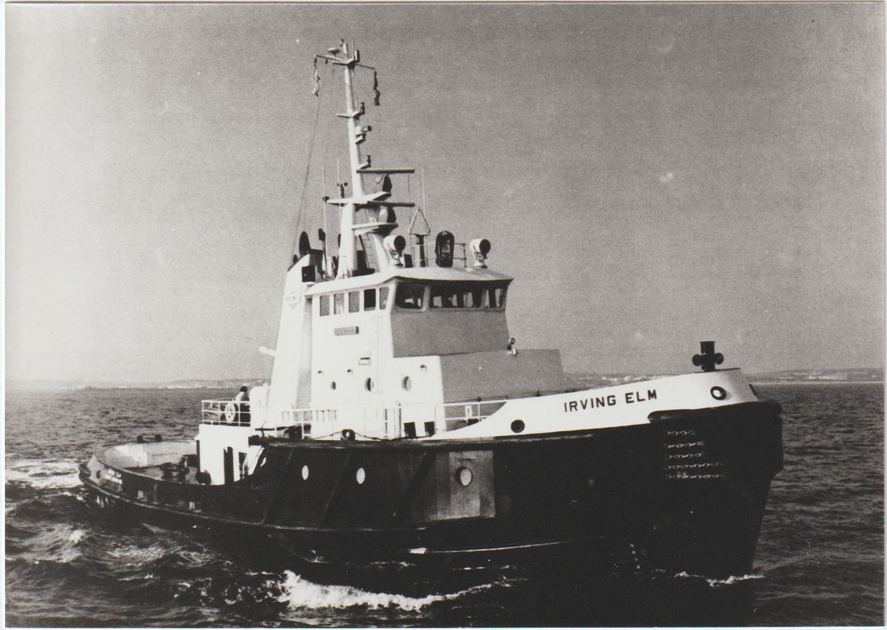 Atlantic Elm