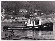 Hedvig
