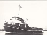 Ivo