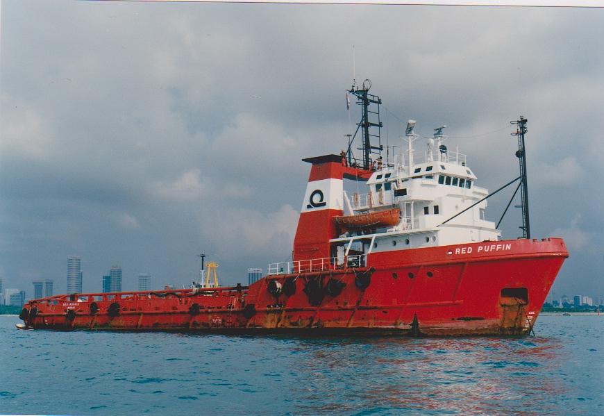 Seabulk Puffin
