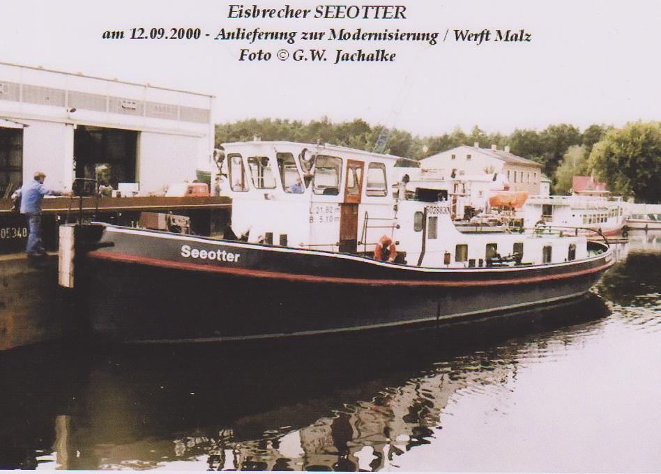 Seeotter