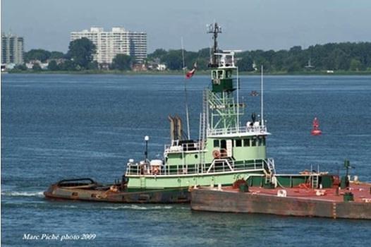 Sea Robin