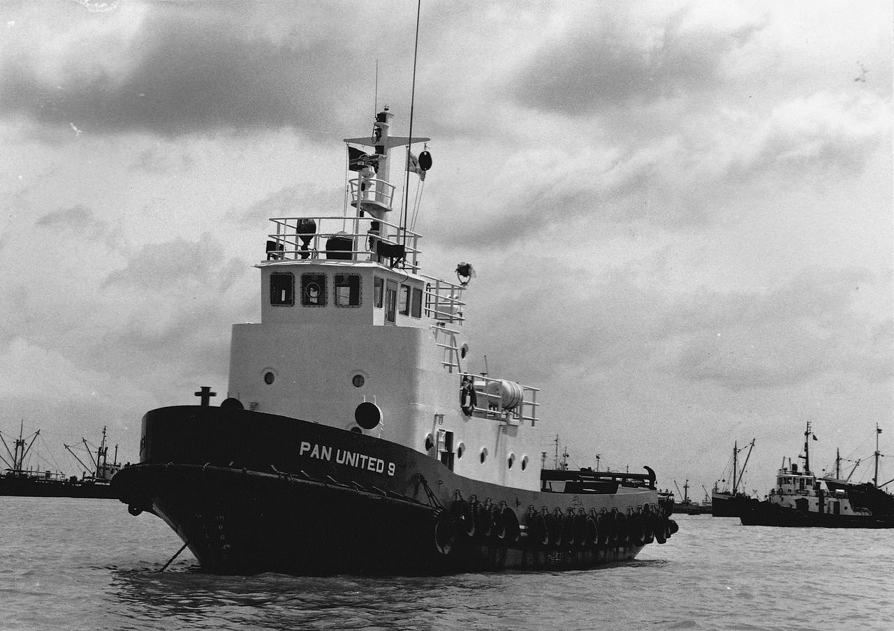 Erina II
