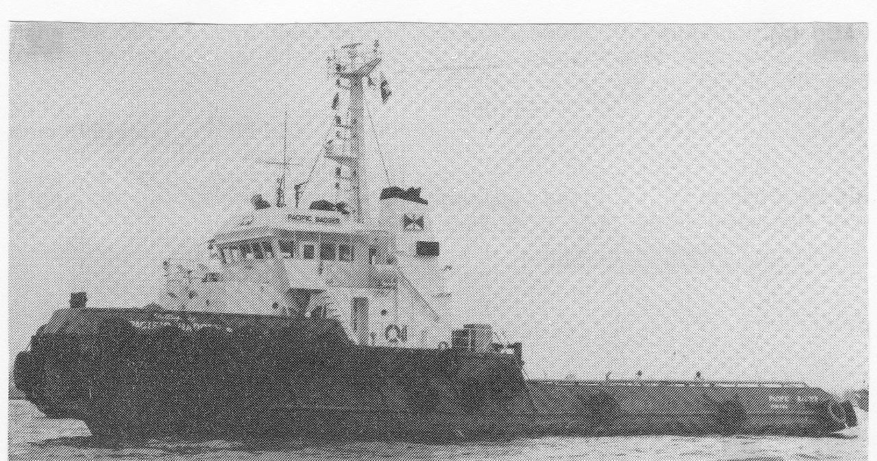 Pacific Badger