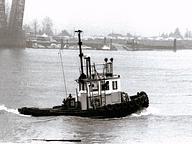 C.P. Renegade